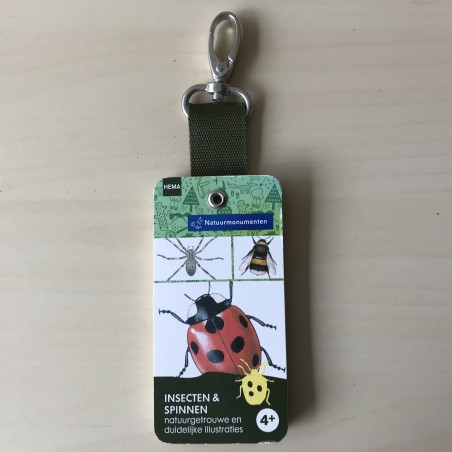 Insecten en spinnen.