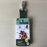 Insecten en spinnen.