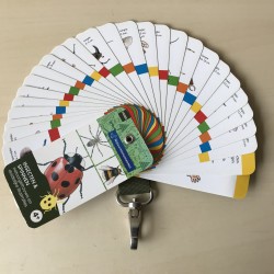 Insecten en spinnen.