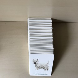 Memo : honden met puppy’s
