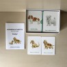 Memo : honden met puppy’s