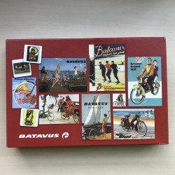 Batavus memory