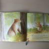 Het wensverhalenboek