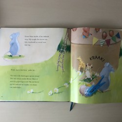 Het wensverhalenboek
