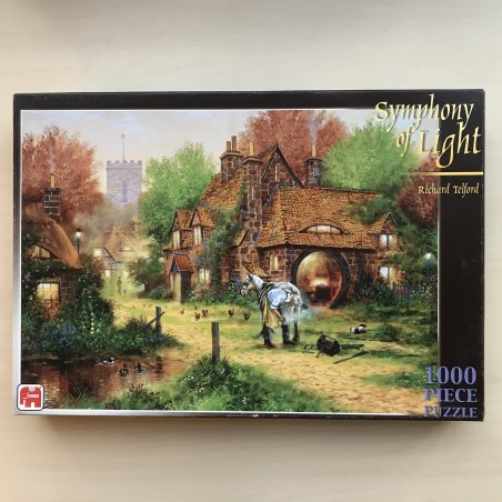 Symphony of Light : 1000 stukjes