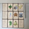 Munchkin. Loot Letter.