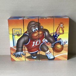 Blokken puzzel 12 blokken.