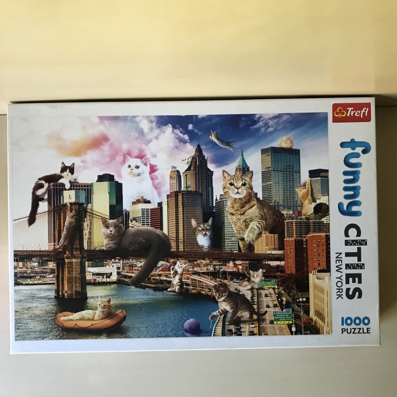 Funny Cities : 1000 stukjes