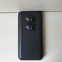 Biggen, een eeuwenoud dobbelspel
