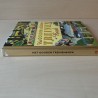 Groot Gouden boek: het gouden treinenboek