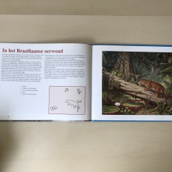 De schoolplaat : Buiten ons land