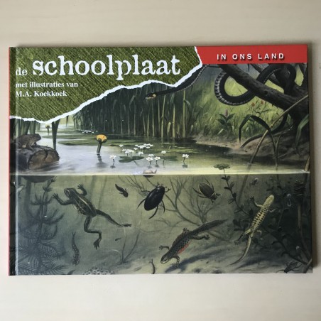 De Schoolplaat : In ons land