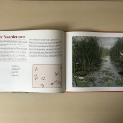 De Schoolplaat : In ons land