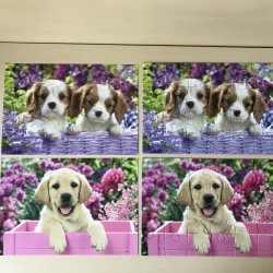 Lieve puppy’s : Puzzel  2 x 24 stukjes