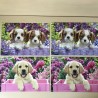 Lieve puppy’s : Puzzel  2 x 24 stukjes