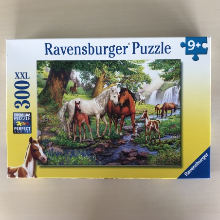 Wilde paarden bij de rivier : 300 XXL