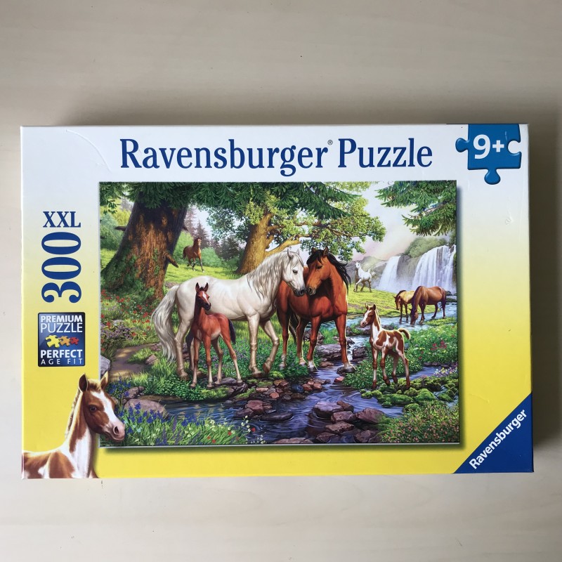 Wilde paarden bij de rivier : 300 XXL
