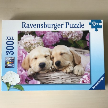 Schattige hondjes in een mand.  XXL 300 stukjes