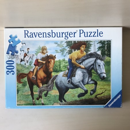 Springwedstrijd : 300
