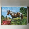 Jumbo : Paard. 20 stukjes.