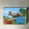 Jumbo : Paard. 20 stukjes.