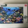 Juwelen uit de diepte:  3000 stukjes