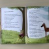 Leren lezen met Kluitman : Choco het minipaardje