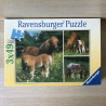 Paarden : 3 x 49 stukjes