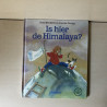 Is hier de Himalaya?