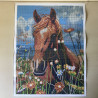 Diamond painting : ongebruikt. 15000 steentjes.