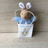 Peter Rabbit : The world of Beatrix Potter.