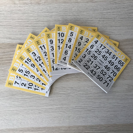 10 Bingo scorenblokje