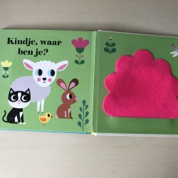 Kuikentje, waar ben je?  Flapjes en spiegeltje