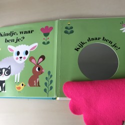 Kuikentje, waar ben je?  Flapjes en spiegeltje