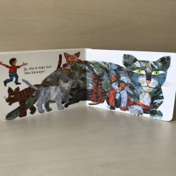 Eric Carle : Heb jij misschien mijn kat gezien? Met uitschuifpagina’s