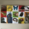 Mijn eerste 100 dieren