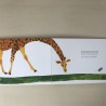 Eric Carle : Wil je mijn vriendje zijn?