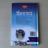 Zoeklicht Dyslexie : Kind te koop