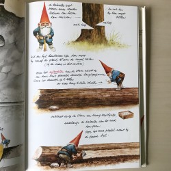 David de Kabouter: De oproep der kabouters