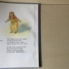 Het grote Sint - en Kerstboek