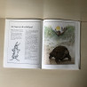 De vos en de ooievaar.