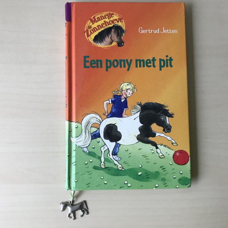 Manege de Zonnehoeve : Een pony met pit