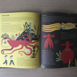 Ongelofelijke octopussen.