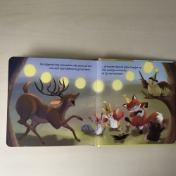 Het grote geheim van Eekhoorn