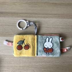 Nijntje : Buggyboekje.
