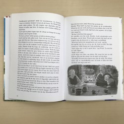 Leesladder: Het geheim van het rietland.