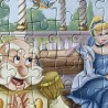 Prinsessen : 50 stukjes