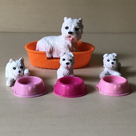 Honden : Terriër met puppy’s