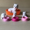 Honden : Terriër met puppy’s