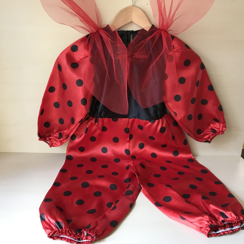 Lieveheersbeestje. Verkleedkleren.
